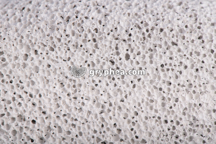 Pierre ponce - détail - gryphea.com